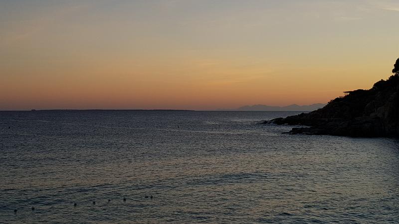 20180926_191305.jpg