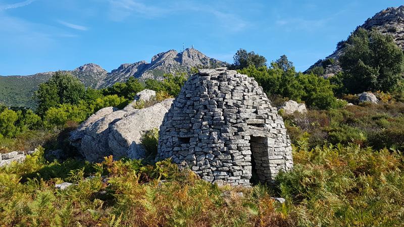 20181004_101128.jpg