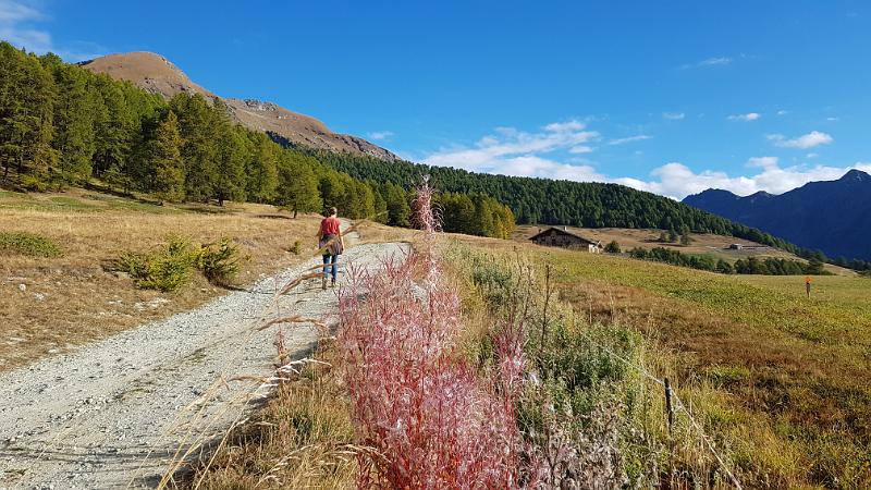 20181007_093155-1.jpg