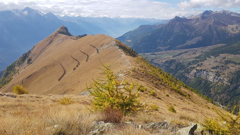 20181008_131333.jpg