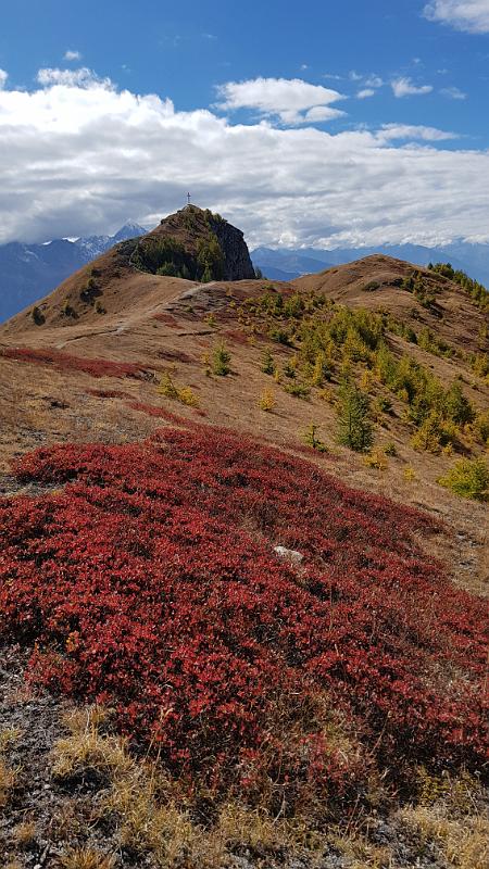 20181008_135645.jpg