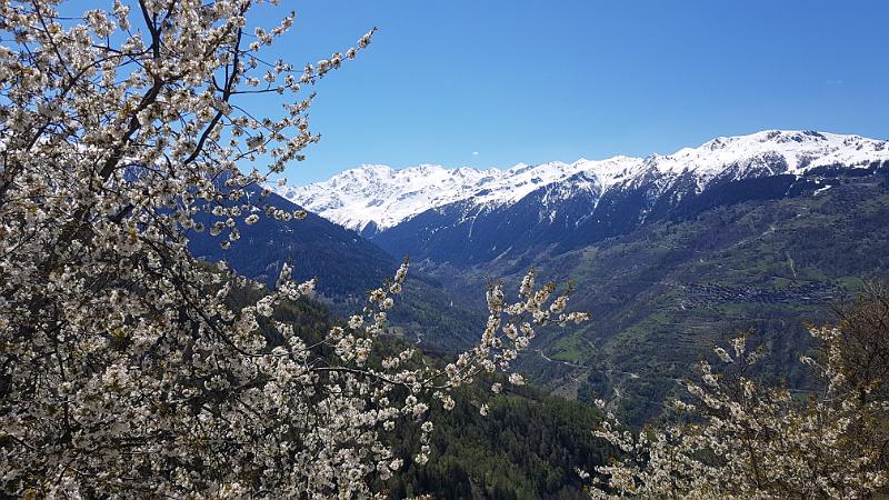 20190430_135307.jpg