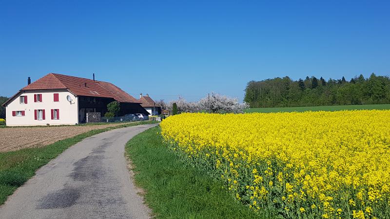 20190501_164531.jpg