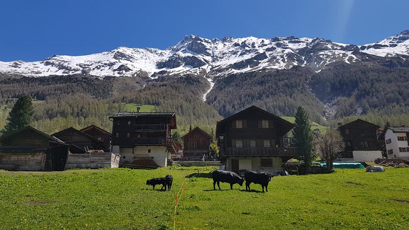 20190530_112701.jpg