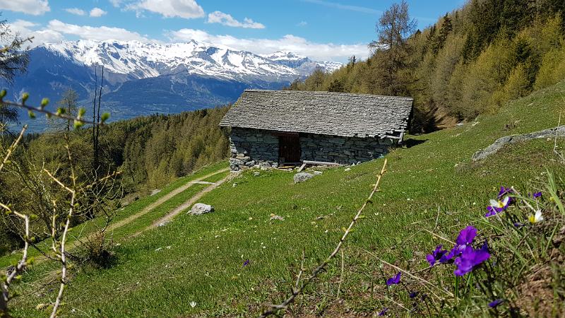 20190531_155551.jpg