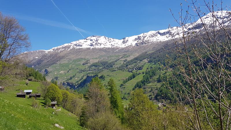 20190601_111735.jpg