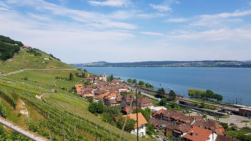 20190605_152926.jpg