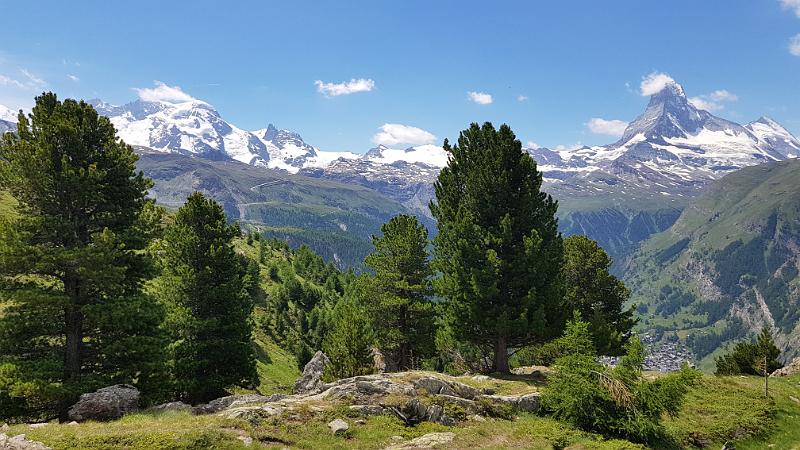 20190708_124205.jpg