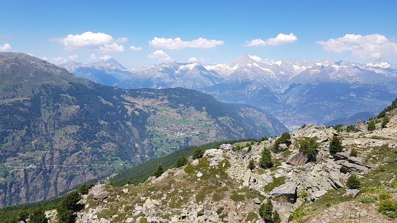 20190724_141543.jpg
