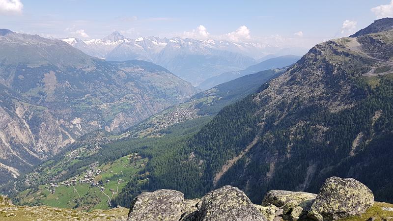 20190726_112419.jpg