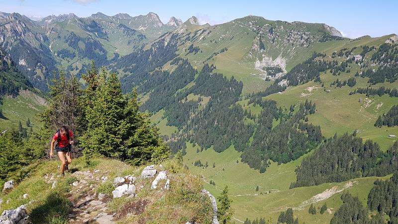 20190801_113331.jpg