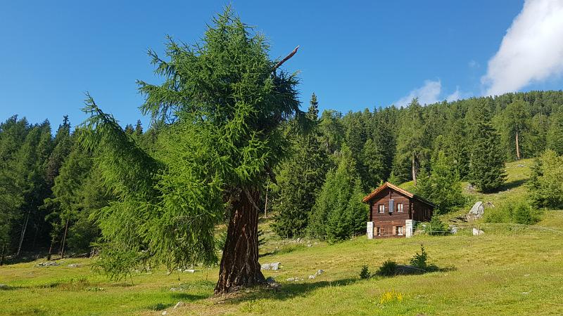 20190810_171926.jpg