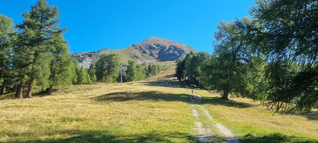 20210918_104147.jpg