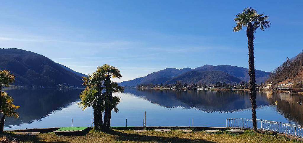 20210313_095903.jpg