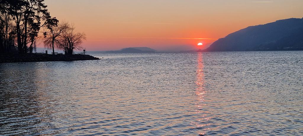 20220113_165753.jpg